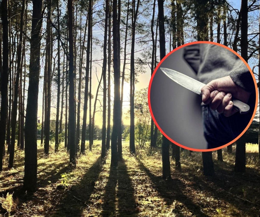 Wysiadł z autobusu i ruszył za 14-latką. Chwilę później wyciągnął nóż