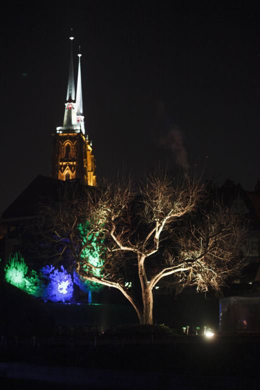 Lasery, muzyka i kolorowe iluminacje w Ogrodzie Botanicznym we Wrocławiu