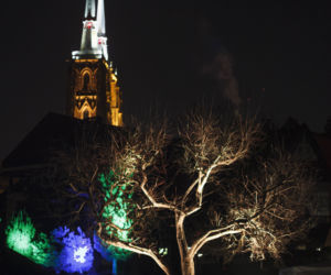 Lasery, muzyka i kolorowe iluminacje w Ogrodzie Botanicznym we Wrocławiu