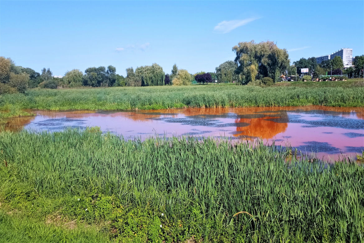 Zanieczyszczone Jezioro Słoneczne