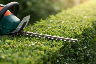 Jak przygotować ogród do życia po zimie? Nie zapomnij o tych czynnościach