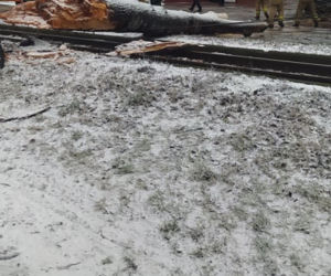 Potężna wichura przeszła przez Bydgoszcz [ZDJĘCIA]
