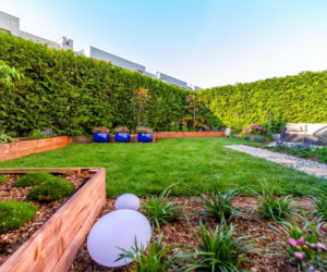 Ogródek przy mieszkaniu w bloku