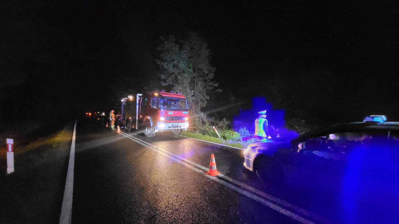 Śmiertelny wypadek pod Zgorzelcem. Kierujący osobówką zginął, dziecko zostało ranne [ZDJĘCIA]