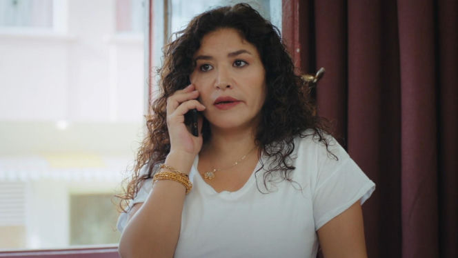 Dziedzictwo, odc. 879. Cansel