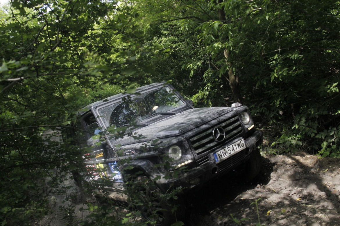 VIP CROSS 2014