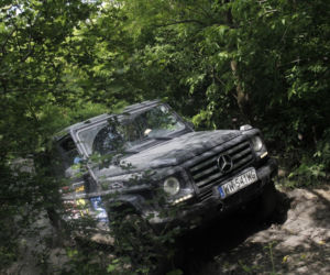 VIP CROSS 2014