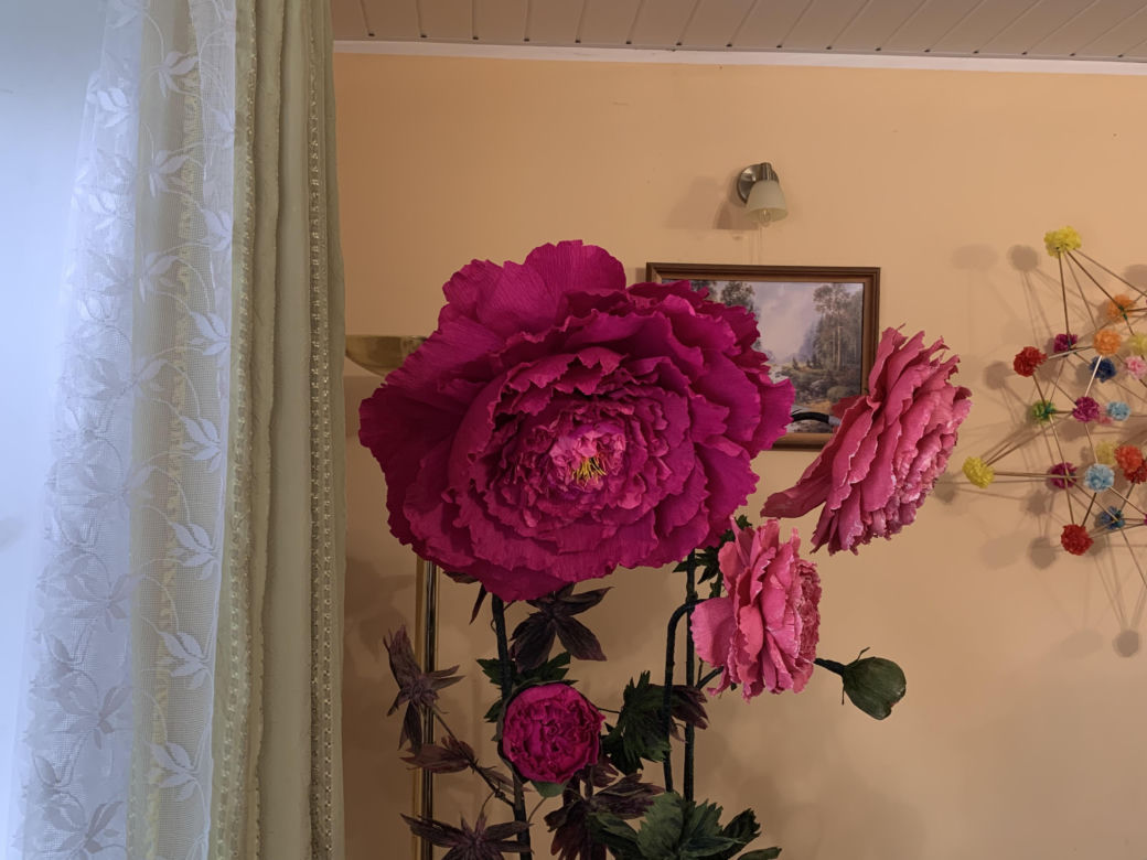 Kolorowe domy inspirowane twórczością Vincenta van Gogha zamieniły wieś liczącą zaledwie stu mieszkańców w prawdziwą atrakcję turystyczną