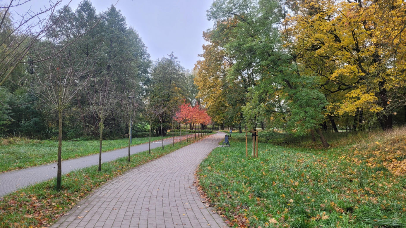 To najlepszy park w Olsztynie na jesienny spacer. Wyboru dokonała sztuczna inteligencja
