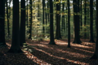 Wyrok po niemal 30 latach. Kto zamordował Marka M. pod Obornikami?