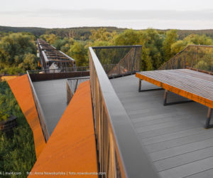 Most Europejski na Odrze w Siekierkach