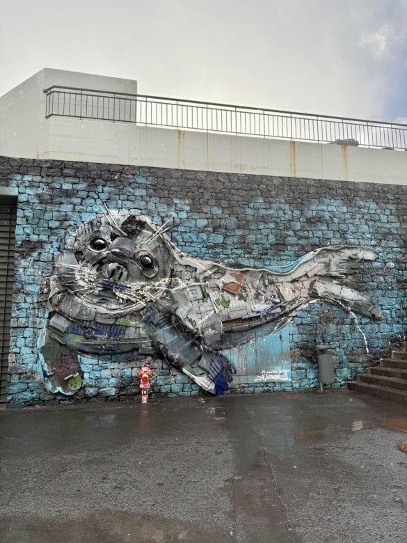 Câmara de Lobos