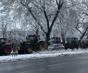 Nielicznie, ale mimo wszystko, rolnicy wyjechali na konińskie ulice