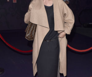 Agnieszka Dygant na premierze filmu Służby Specjalne