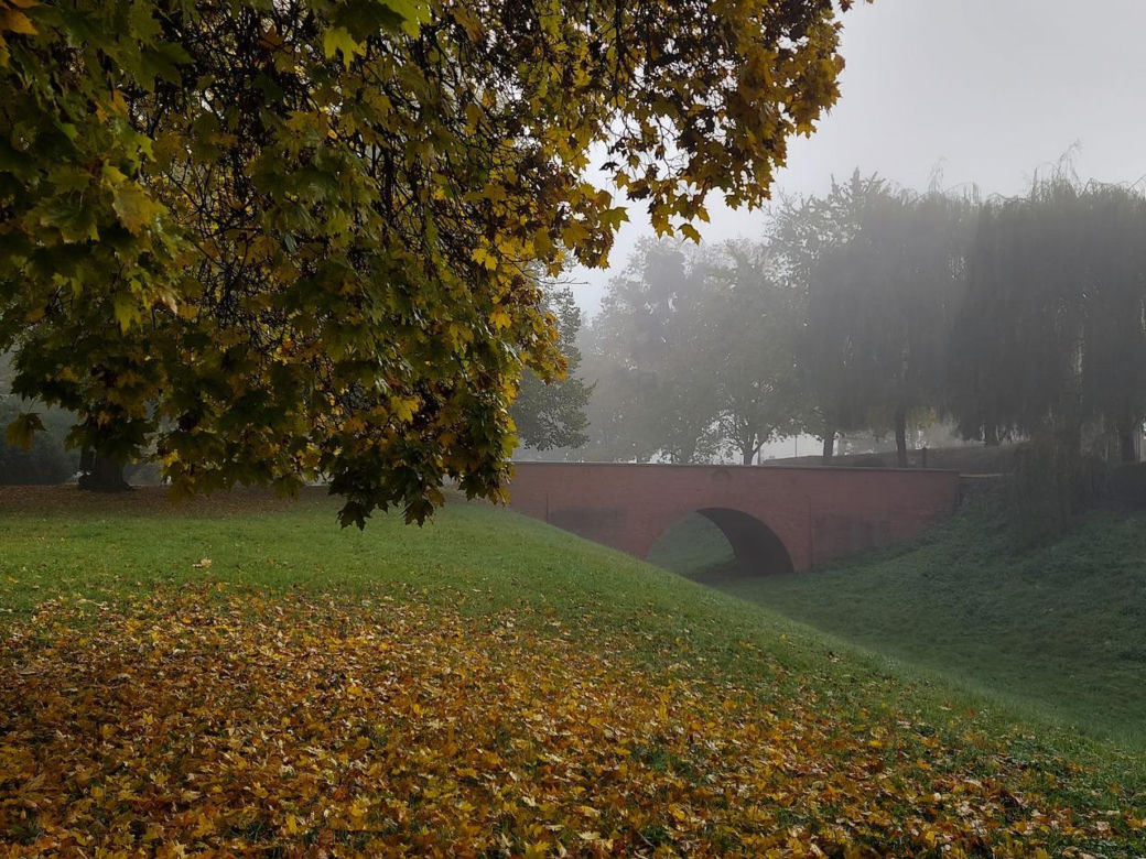 Zamojski Park jesienią