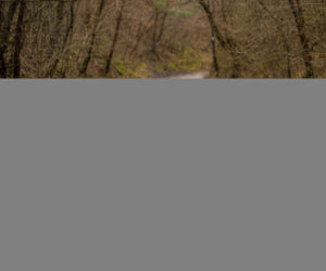 Fiat 500L Cross 1.6 MultiJet 120 KM