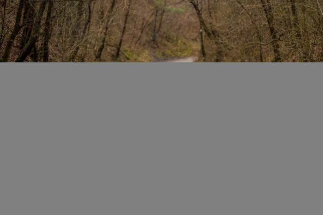 Fiat 500L Cross 1.6 MultiJet 120 KM