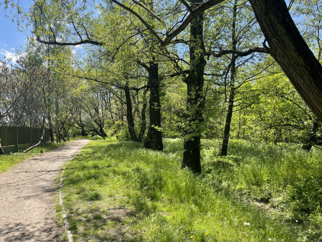 Kraków ma najdłuższy park w Polsce. Poznajcie Młynówkę Królewską! 