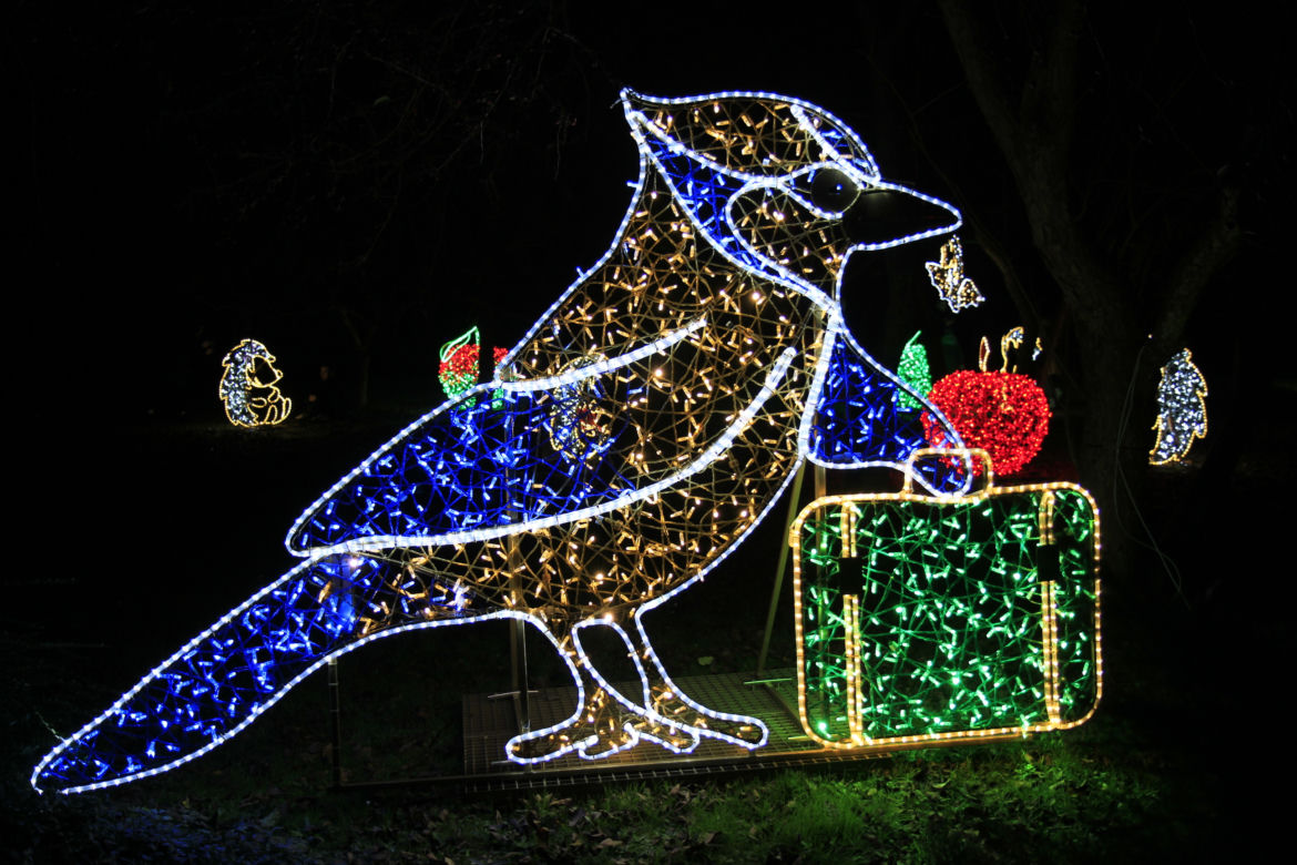 Park iluminacji „Tajemniczy Ogród” w Lublinie