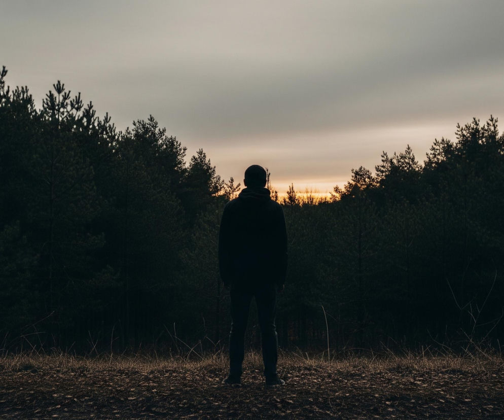 Centralnym elementem jest sylwetka mężczyzny, stojącego tyłem do widza, na tle lasu iglastego i zachodzącego słońca. Mężczyzna jest ubrany w ciemną bluzę z kapturem i spodnie, jego postać jest zacieniona i zamazana. Las po obu stronach kadru, składający się z wysokich, ciemnozielonych drzew iglastych, tworzy naturalny korytarz. W oddali, między drzewami, widać wąski pas jasnego nieba o barwach od pomarańczowych po jasnoszare, sugerujący zachód słońca lub świt. Pod stopami mężczyzny znajduje się ziemia pokryta suchymi liśćmi i trawą w odcieniach brązu i beżu.