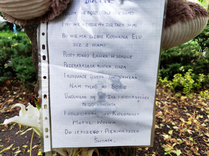 Wzruszające listy do zmarłej  12-latki