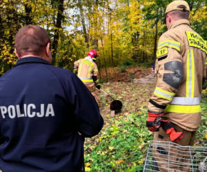 Strażacy otrzymali zgłoszenie o „czarnym człowieku siedzącym w piwnicy”. Kiedy dotarli na miejsce, okazało się, że sytuacja wygląda nieco inaczej