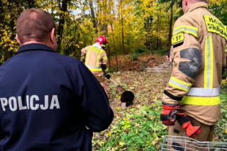 Strażacy otrzymali zgłoszenie o „czarnym człowieku siedzącym w piwnicy”. Kiedy dotarli na miejsce, okazało się, że sytuacja wygląda nieco inaczej