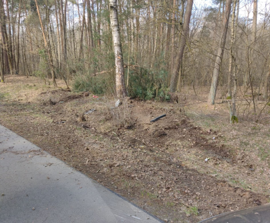 Auto rozbiło się na drzewie. Kierująca miała prawo jazdy zaledwie od 3 miesięcy