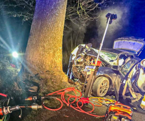 Na zakręcie pojechali prosto, ze sobą wieźli dwa duże psy. Czy któryś z nich ugryzł kierowcę?