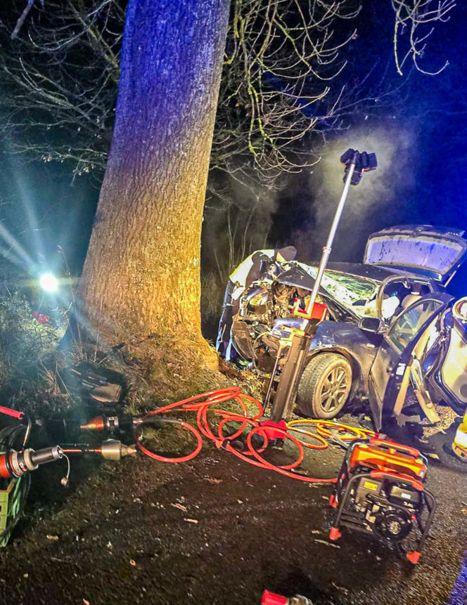 Na zakręcie pojechali prosto, ze sobą wieźli dwa duże psy. Czy któryś z nich ugryzł kierowcę?