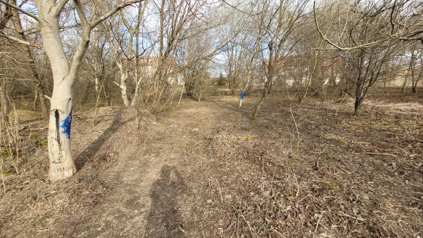 Mieszkańcy wzięli sprawy w swoje ręce i posprzątali Górkę Narodową. Pomogło im MPO
