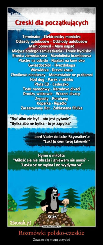 Czeskie memy są najlepsze! Będziecie płakać ze śmiechu