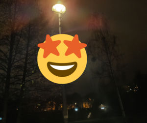 Oryginalna wystawa w Parku Centralnym w Olsztynie [ZDJĘCIA]