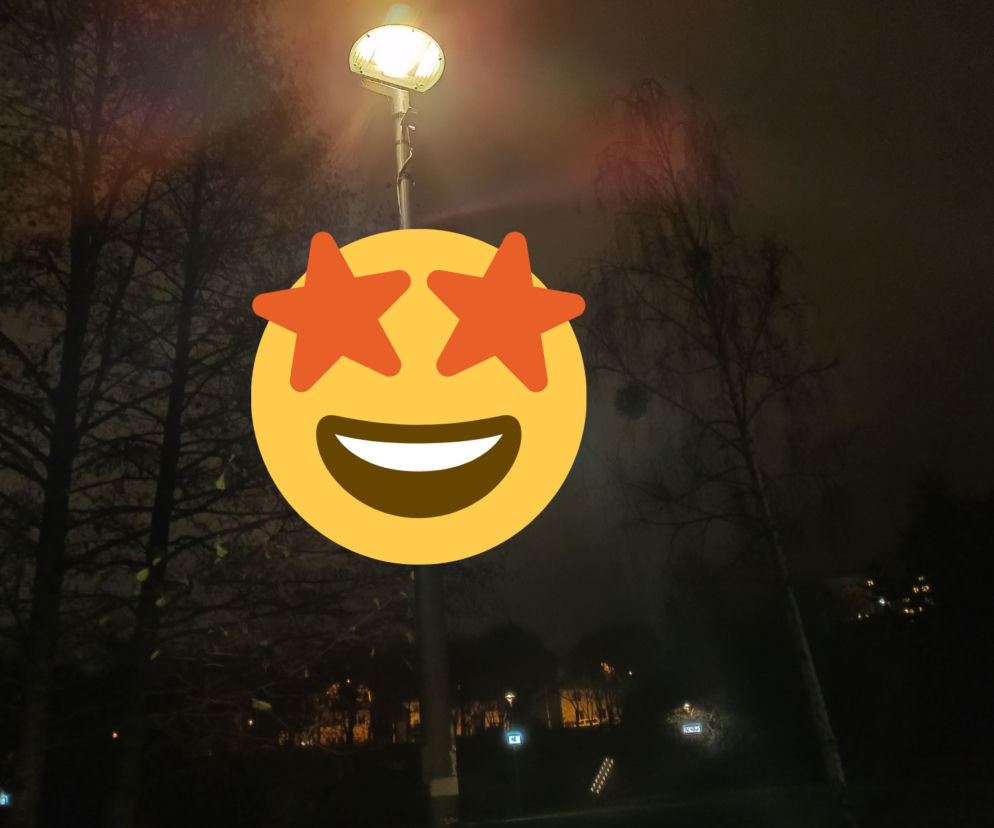 Oryginalna wystawa w Parku Centralnym w Olsztynie [ZDJĘCIA]