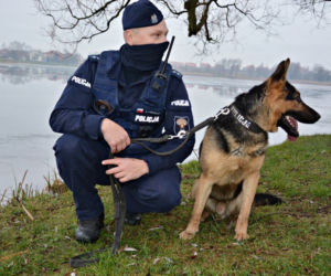 Szarik - nowy policyjny pies w Komendzie Miejskiej Policji w Suwałkach [ZDJĘCIA]