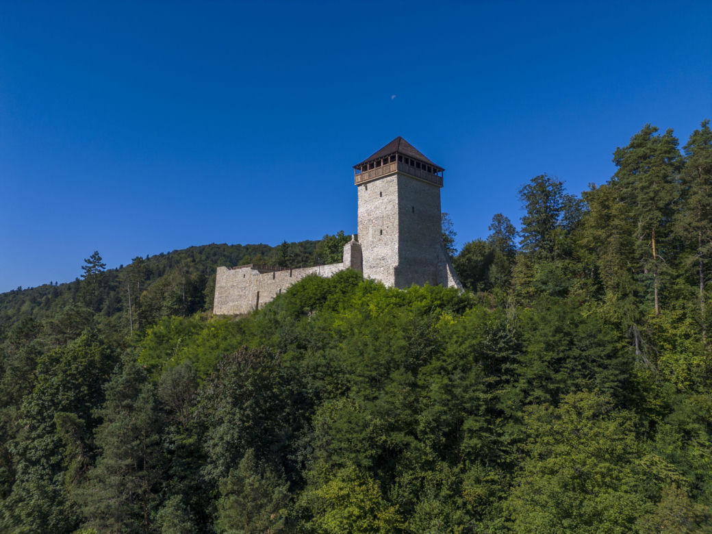 Zamek w Muszynie