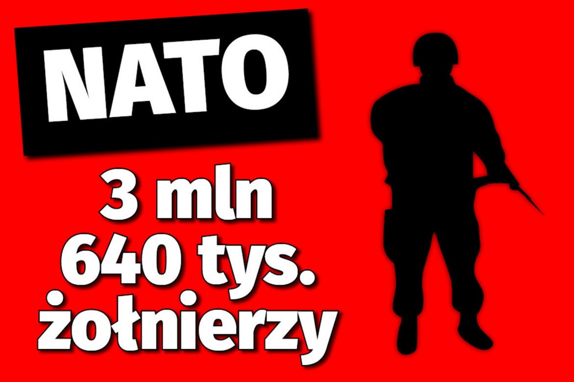 Wojna na Ukrainie. Jakie wojska mają Ukraina i Rosja?