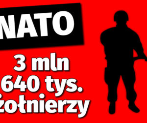 Wojna na Ukrainie. Jakie wojska mają Ukraina i Rosja?