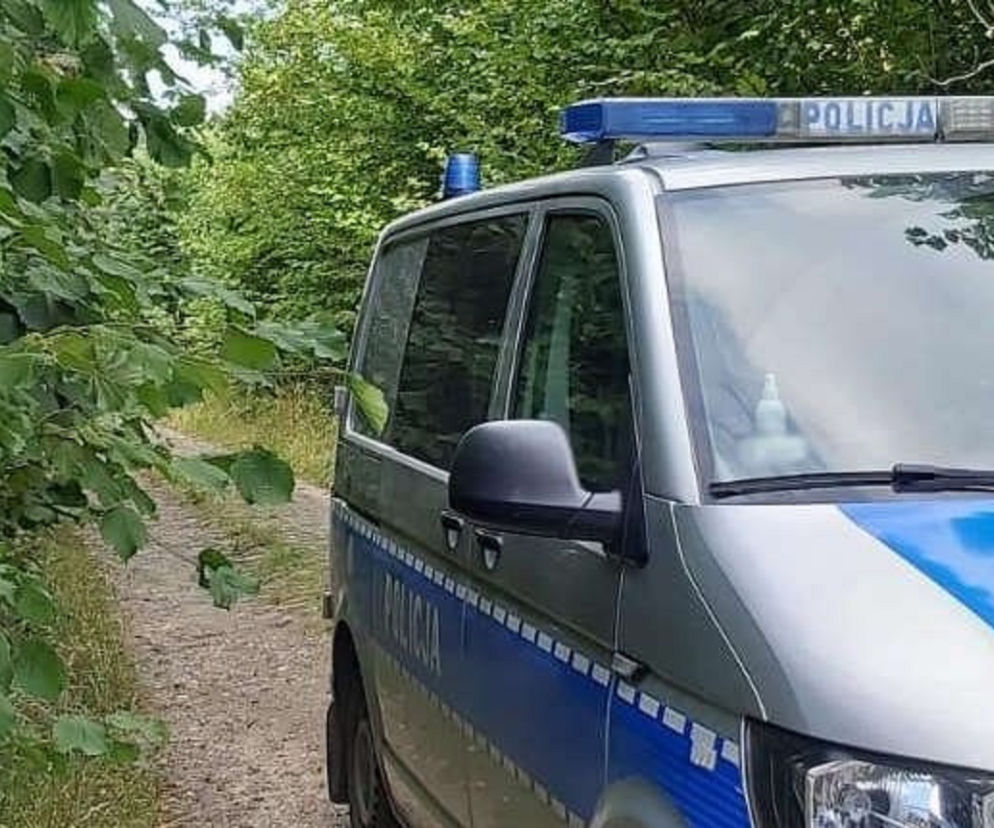 policja