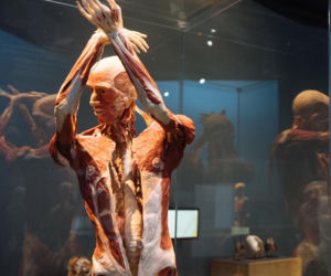 Body Worlds