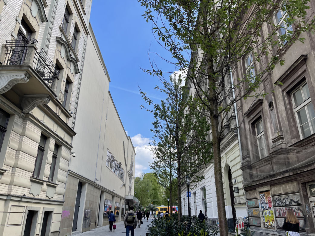 Zieleń w centrum miasta. Tak zmienia się ul. Krupnicza w Krakowie! 