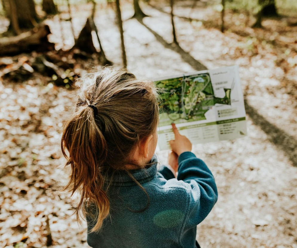 Najlepsza atrakcja dla dzieci