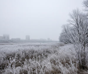 Radom drży z zimna. Coś przerażającego dzieje się z temperaturą 20.11.2025!