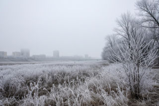 Radom drży z zimna. Coś przerażającego dzieje się z temperaturą 20.11.2025!