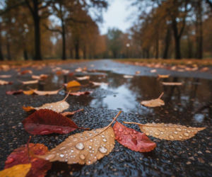 Weekend w Bydgoszczy pokaże dwa oblicza. Prognoza na niedzielę może zaskoczyć