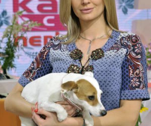 Agnieszka Szulim