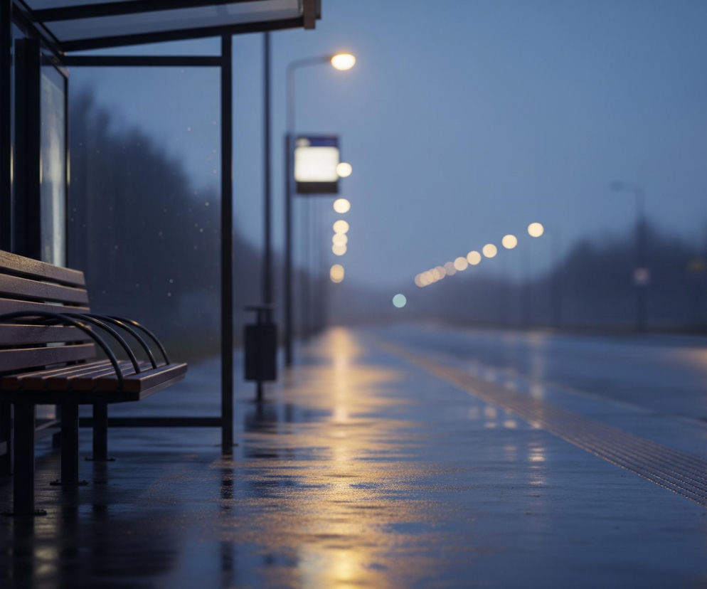 Puste, drewniane ławki z czarnymi, metalowymi ramami stoją w półotwartej wiacie przystanku autobusowego, zbudowanej z ciemnych, pionowych słupów i szklanych paneli. Wilgotna posadzka przystanku, pokryta pasami wypukłej tekstury dla niewidomych, odbija smugi żółtego światła pochodzące z odległych latarni ulicznych. W tle rozciąga się długa, ciemna ulica z rzędem rozmytych, świecących latarni po prawej stronie i zarysem drzew po lewej, wszystko skąpane w niebieskawo-szarym zmierzchu lub świcie.