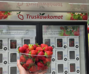 Musisz to zobaczyć! W Warszawie stanął truskawkomat. Owoce prosto z pola o każdej porze dnia i nocy!