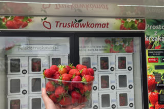 Musisz to zobaczyć! W Warszawie stanął truskawkomat. Owoce prosto z pola o każdej porze dnia i nocy!
