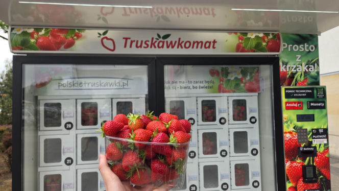 Musisz to zobaczyć! W Warszawie stanął truskawkomat. Owoce prosto z pola o każdej porze dnia i nocy!